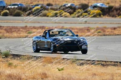 media/Nov-16-2024-Extreme Speed (Sat) [[6587d07cc4]]/Gold Group/Session 2 (Turns 3 and 5)/